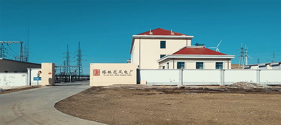 20240125 塔林花(huā)02